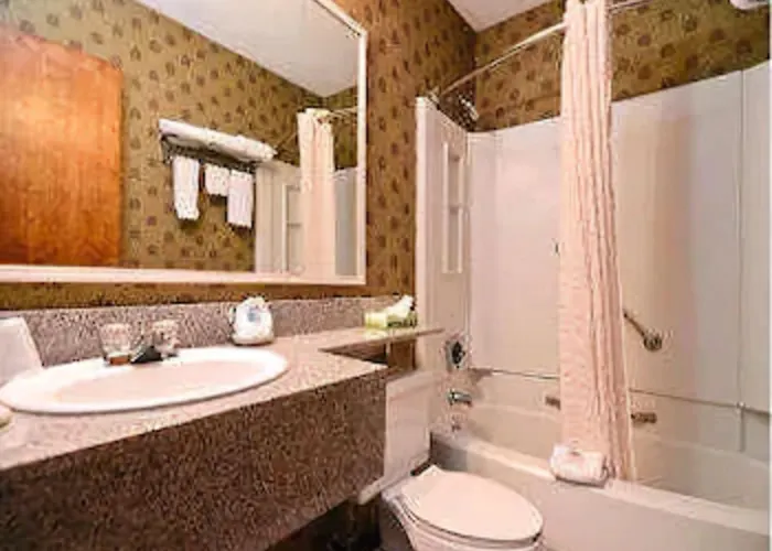 Clarion Pointe Bloomington-normal Near I-55 And Inn 3*